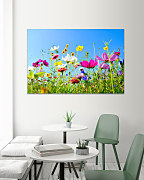 Obraz Voňavá lúka v lete 1478